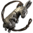 Silver Charm